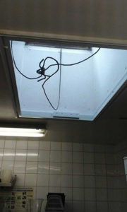 White sliding fly screen window installed to ceiling window in commercial kitchen